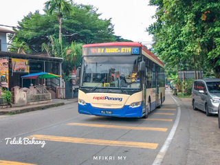 Pitcher Plant Roundabout 3