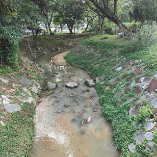 Sungai Ara Neighbourhood Park 2