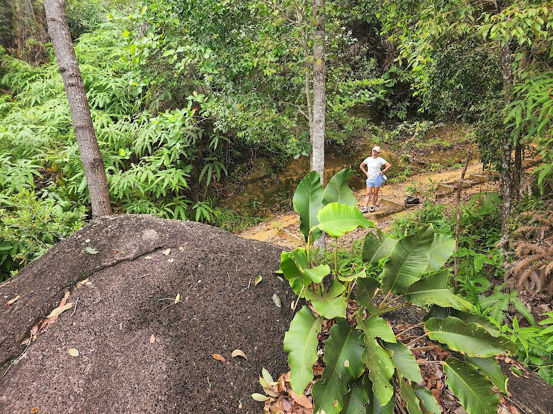 Penang Hill Station 33