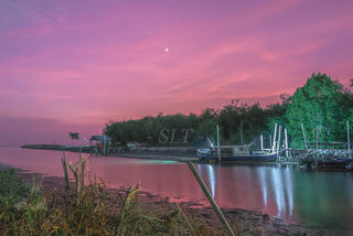 Hidden Viewing Spot - Kampung Sungai Burung 1