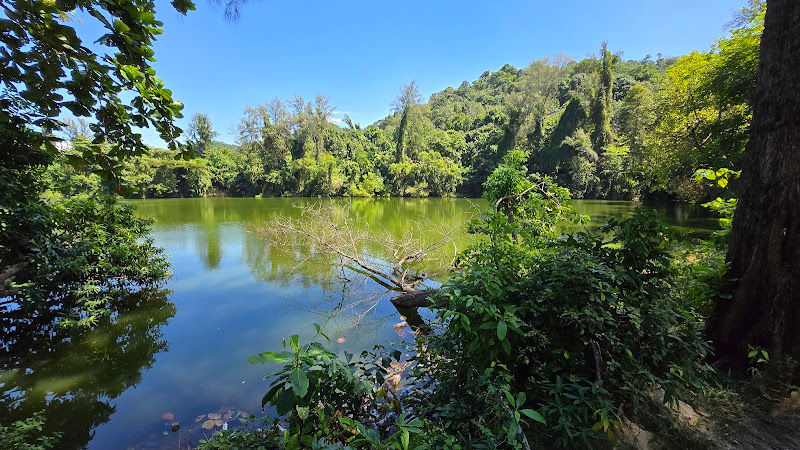 Hidden Lake Penang
