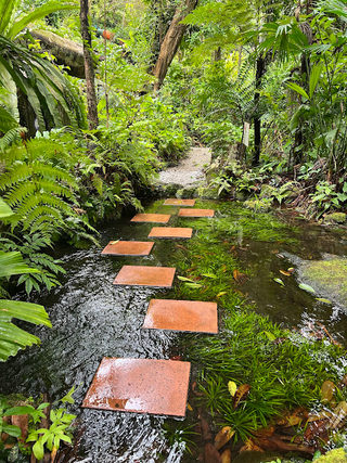 Tropical Spice Garden | Events Venue | Cooking Classes | Spice Store 2