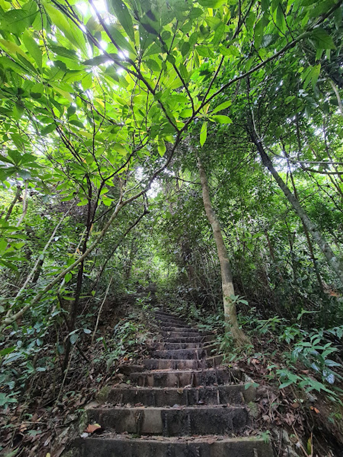 46 Rest Area Trailhead