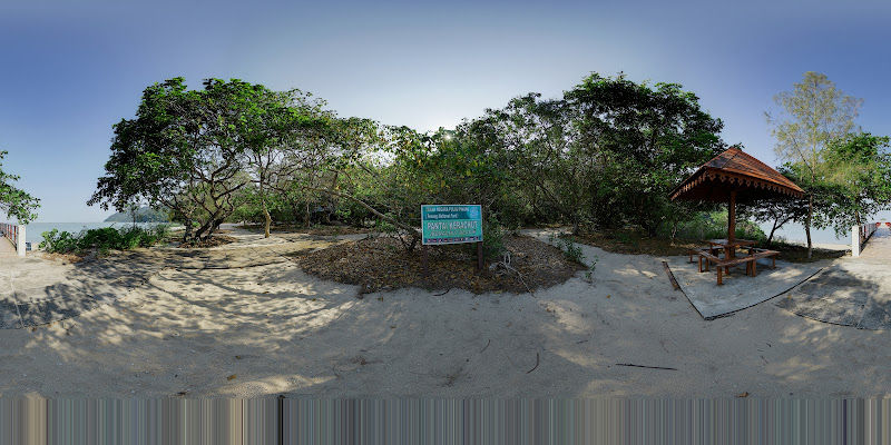 Penang National Park_Dock