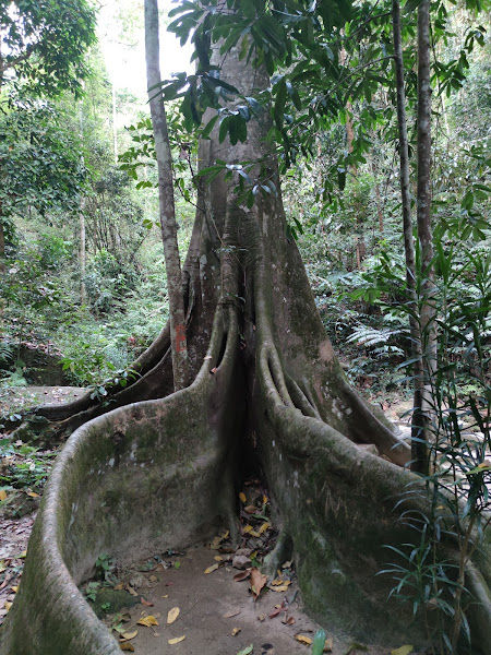 Bukit Cherok Tokun Bukit Mertajam