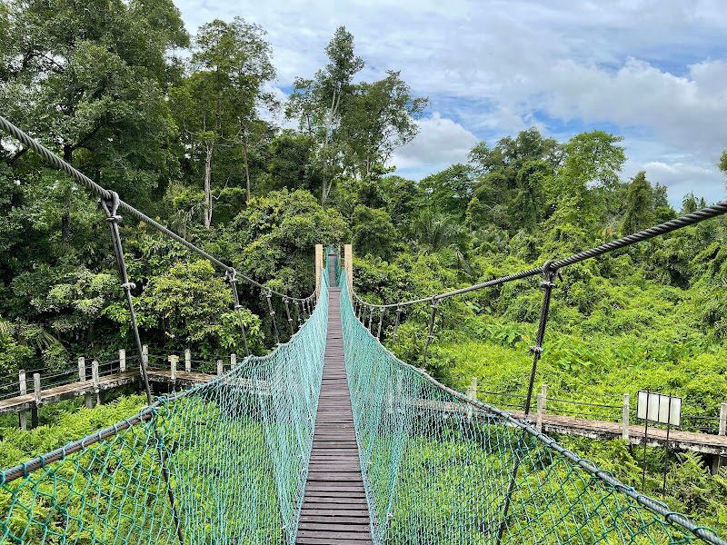 Air Hitam Dalam Educational Forest