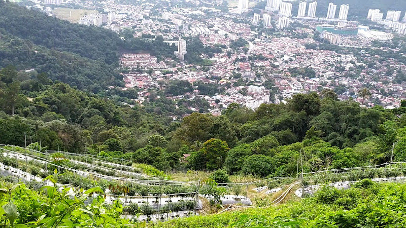 Penang Hill Trail
