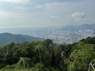 Edgecliff @viewingspot 3