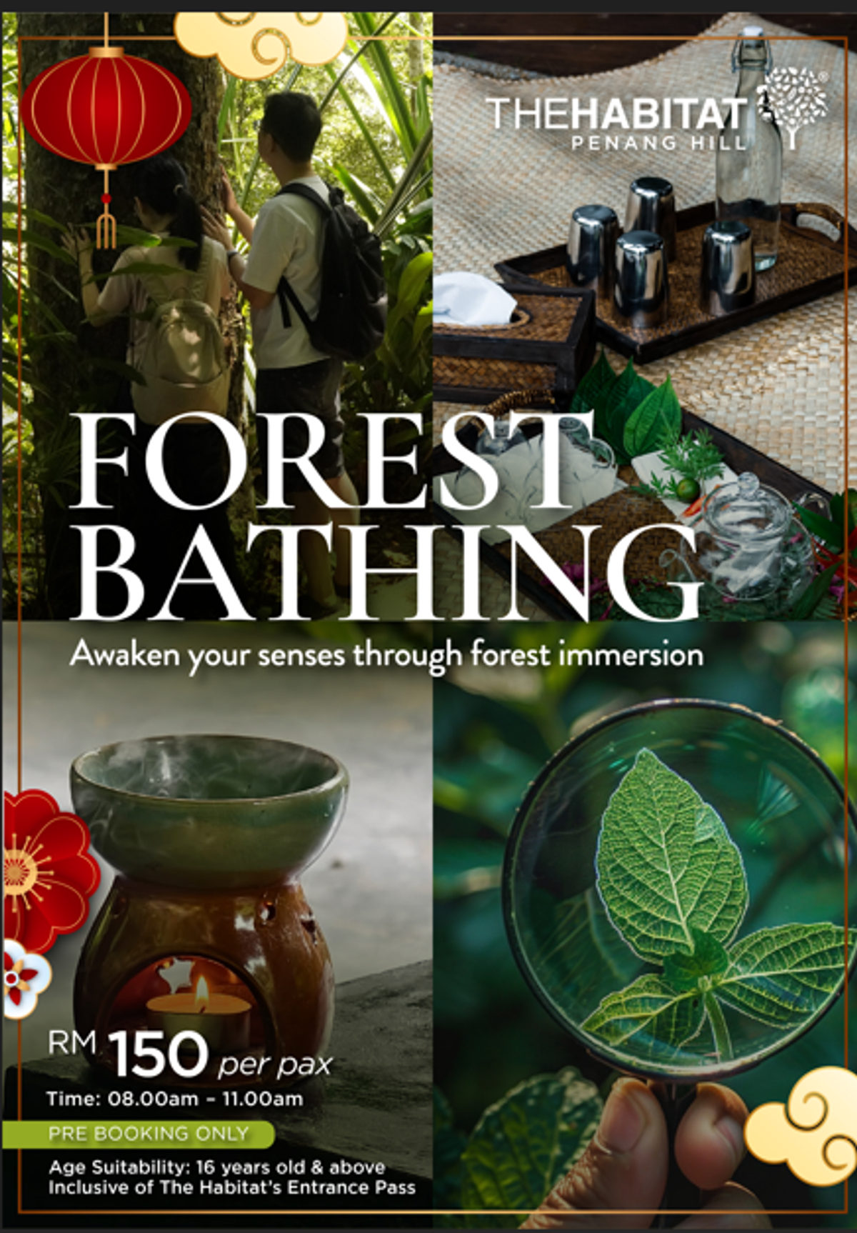 Forest Bathing at The Habitat Penang Hill