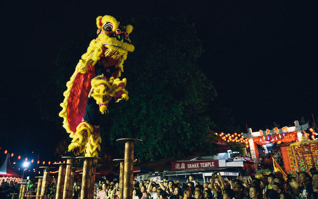 Penang Snake Temple 槟城蛇庙请火仪式