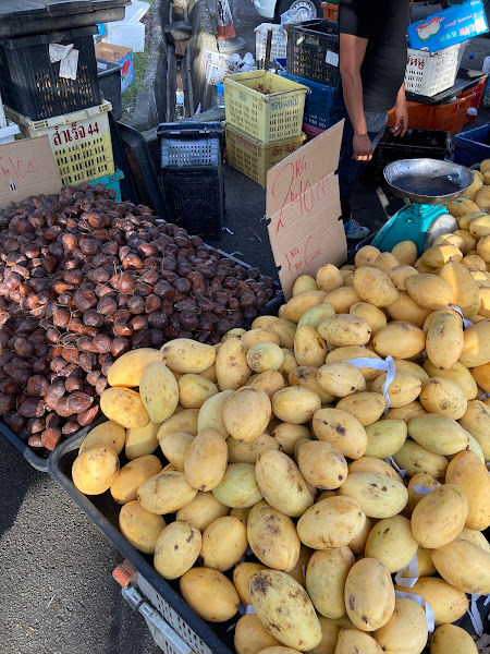 Pantai Jerejak Night Market
