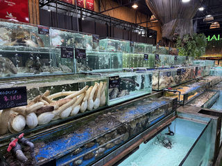 Bali Hai Seafood Market 1
