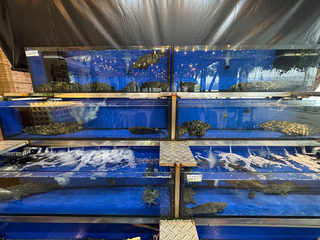 肥肥蟹 Fei Fei Crab Straits Quay PENANG 3