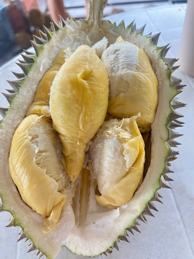 Balik Pulau 808 Durian
