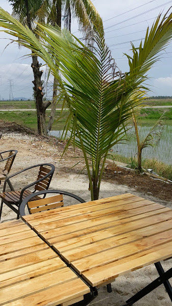 PADDY CAFE & RESTAURANT