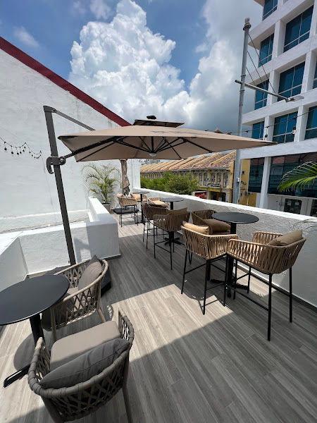 Tea Expert Macalister