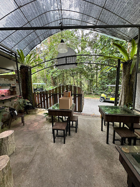 MonkeyCup@PenangHill