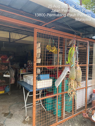 Mak Ngah Mee Rebus Tulang 1