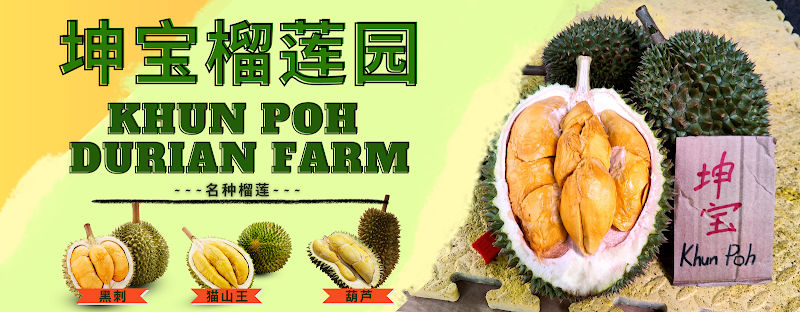 Khun Poh Durian Farm (坤宝榴莲园)