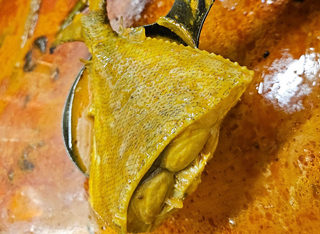 Dalkandar Restaurant 3