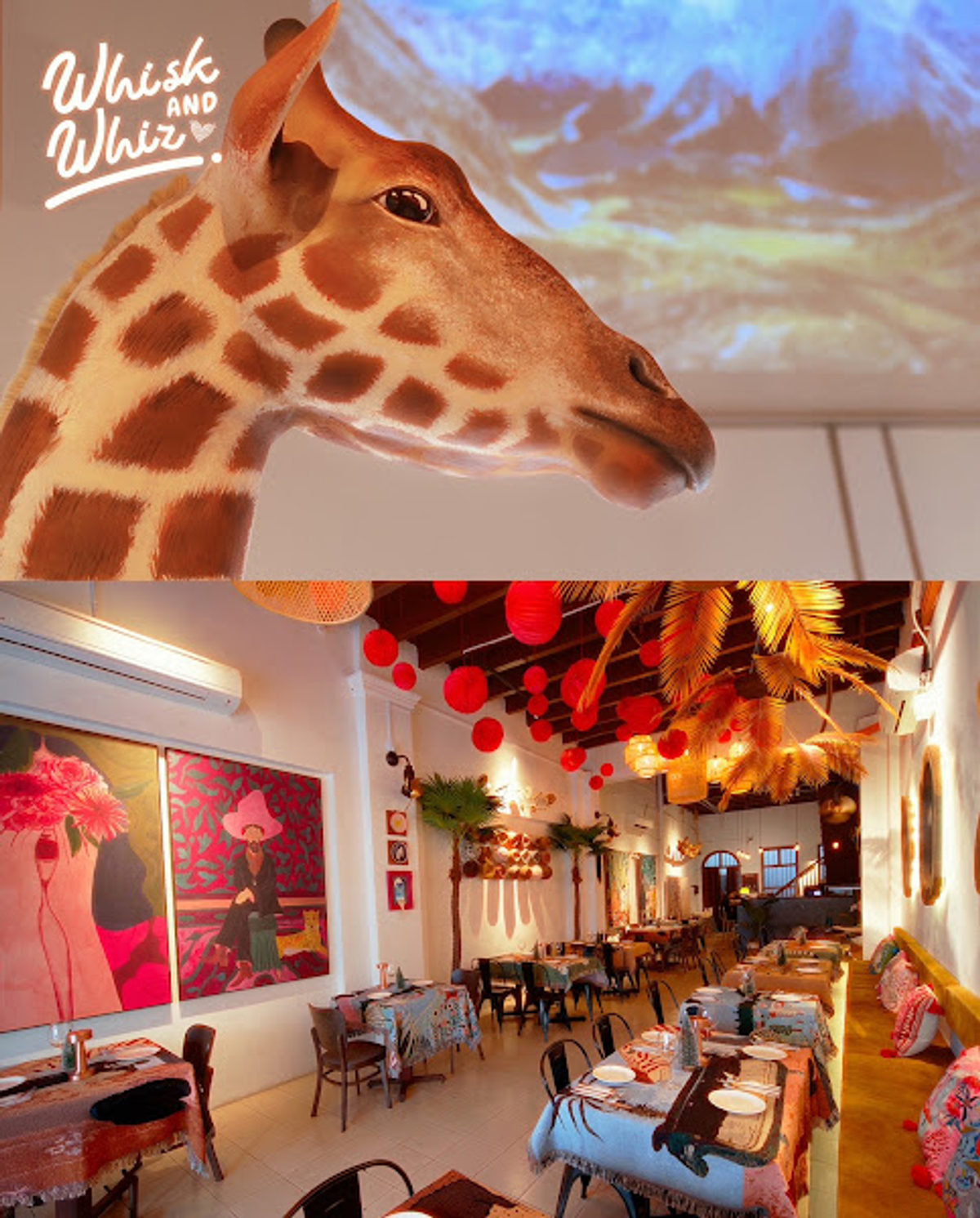 Whisk & Whiz Cafe Bistro