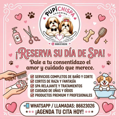 Imagen 5