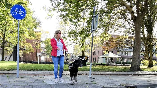 Het is belangrijk dat je met de arts meekijkt