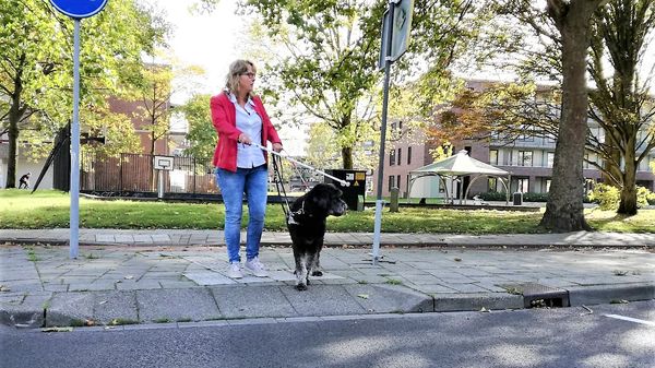 blinde vrouw steekt over