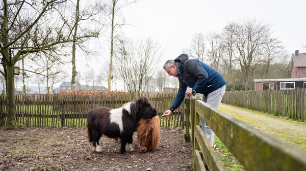 Ik ben gestopt met werken in mijn laatste levensfase