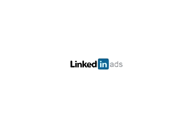 LinkedIn Ads campaign targeting business decision-makers.