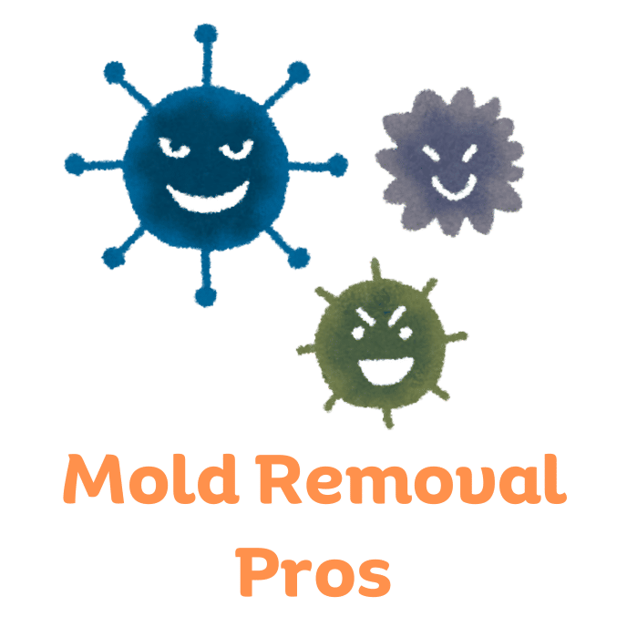 Burns, OR Mold Removal