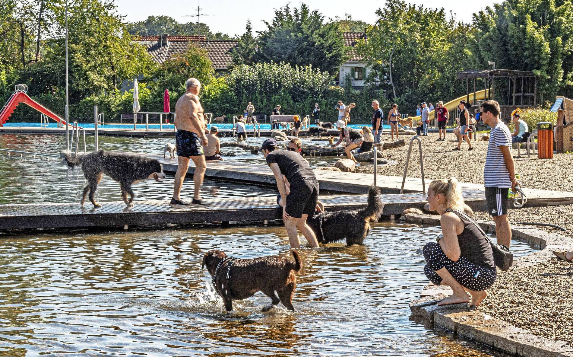 kutyabarát strandon játszik a kutyakutyabarát strandon játszik a kutya kutyabarát strandon játszik a kutyakutyabarát strandon játszik a kutya