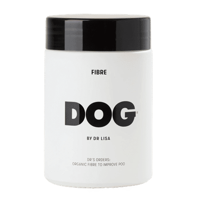 Dog By Dr Lisa Fibre