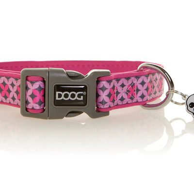 Doog Toto Collar