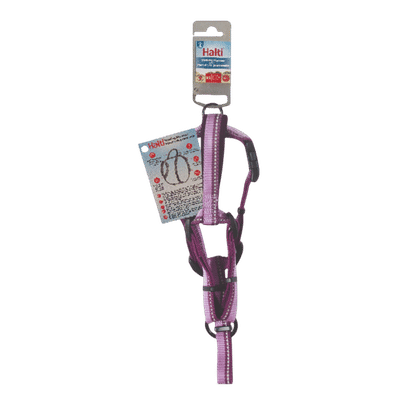 Halti Walking Dog Harness In Purple