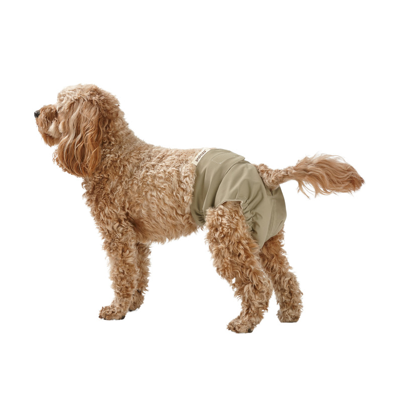 Snooza Washable Nappy Pant For Female Dogs 2 Pack