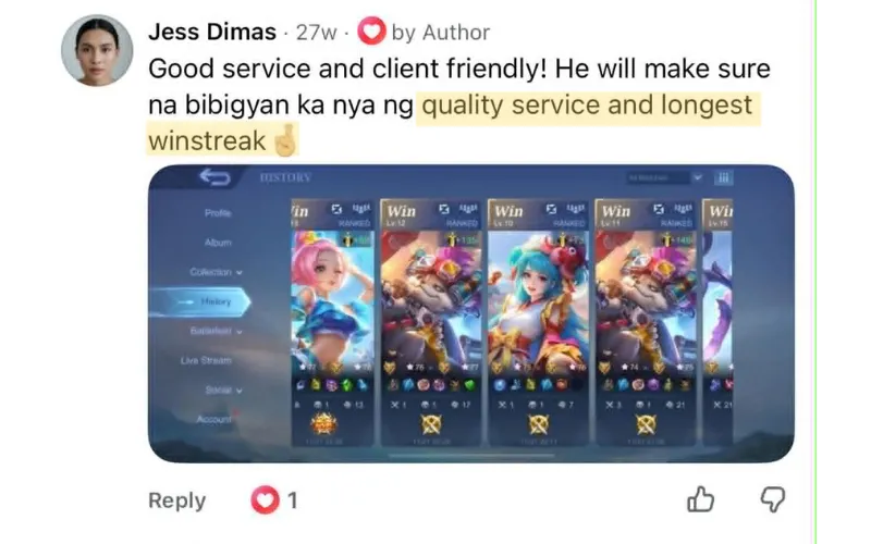 TopLevel Client Testimonial 5