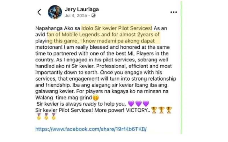 TopLevel Client Testimonial 2