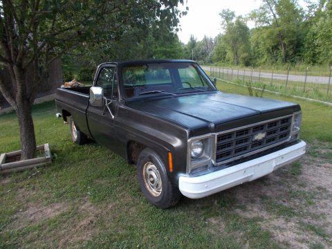 Needs attention 1979 Chevrolet C 10 Custom DELUXE vintage for sale