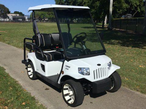 new batteries 2017 Tomberlin Emerge E2 golf cart for sale