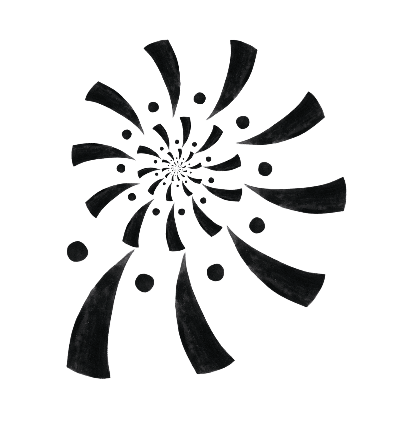 POAM spiral logo
