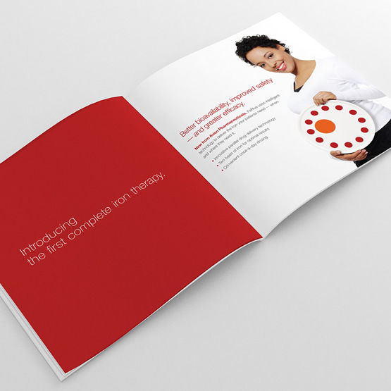 feriva brand promotional booklet