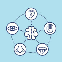 Icons of five senses around brain icon