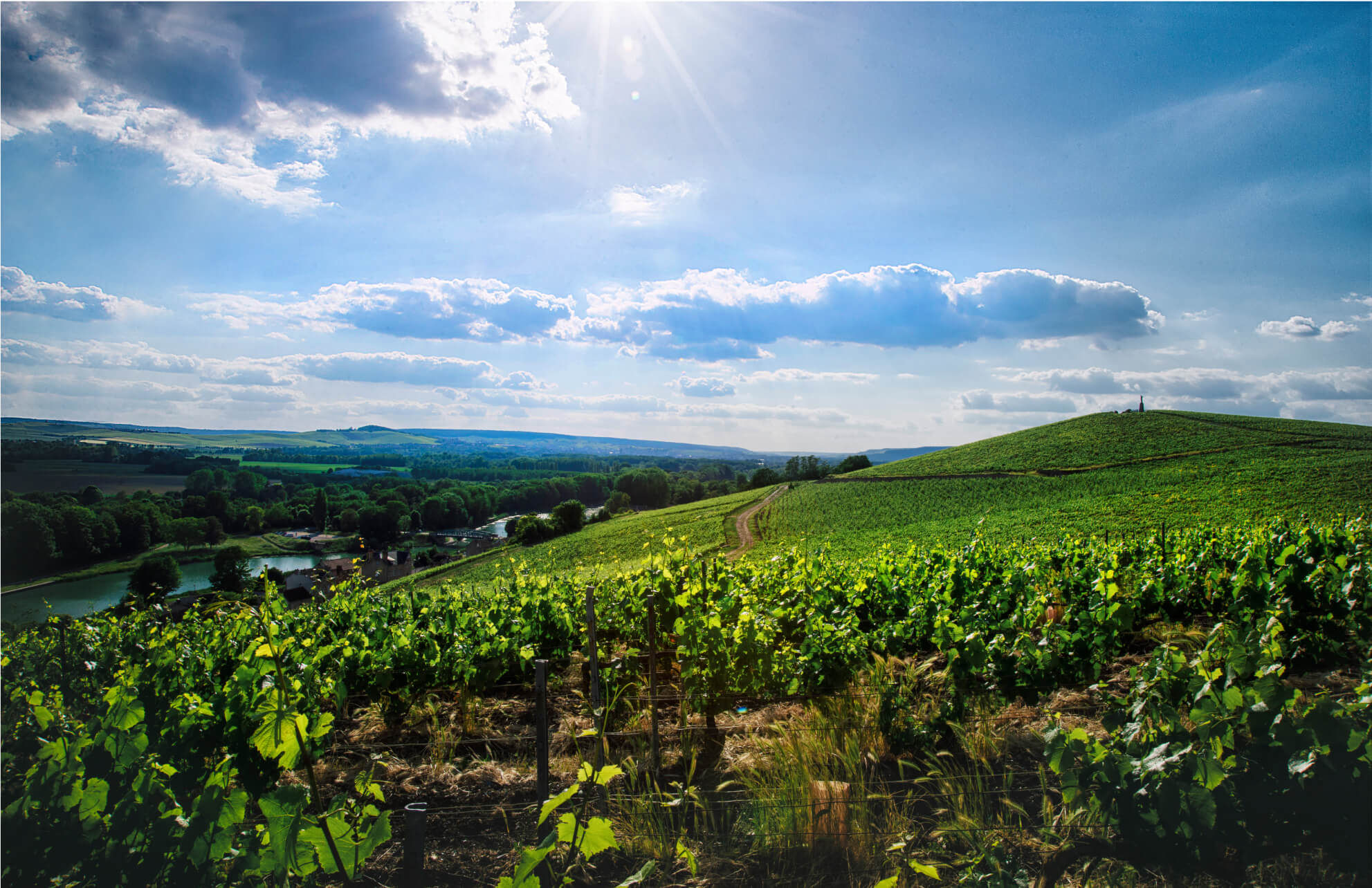 Le Clos des Goisses - Champagne Philipponnat