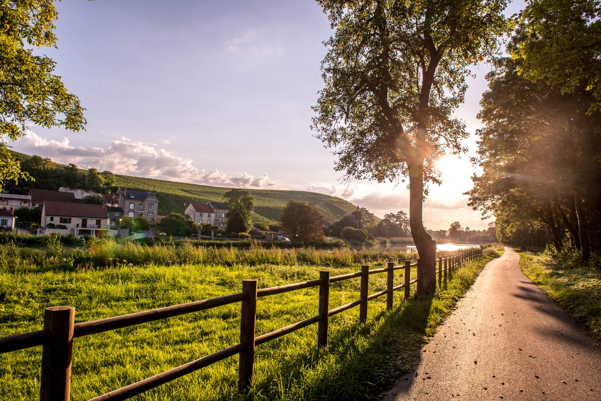 Les Mystères de la Champagne - Champagne Philipponnat