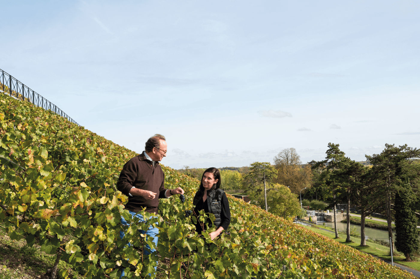 Une vision d’avenir - Champagne Philipponnat