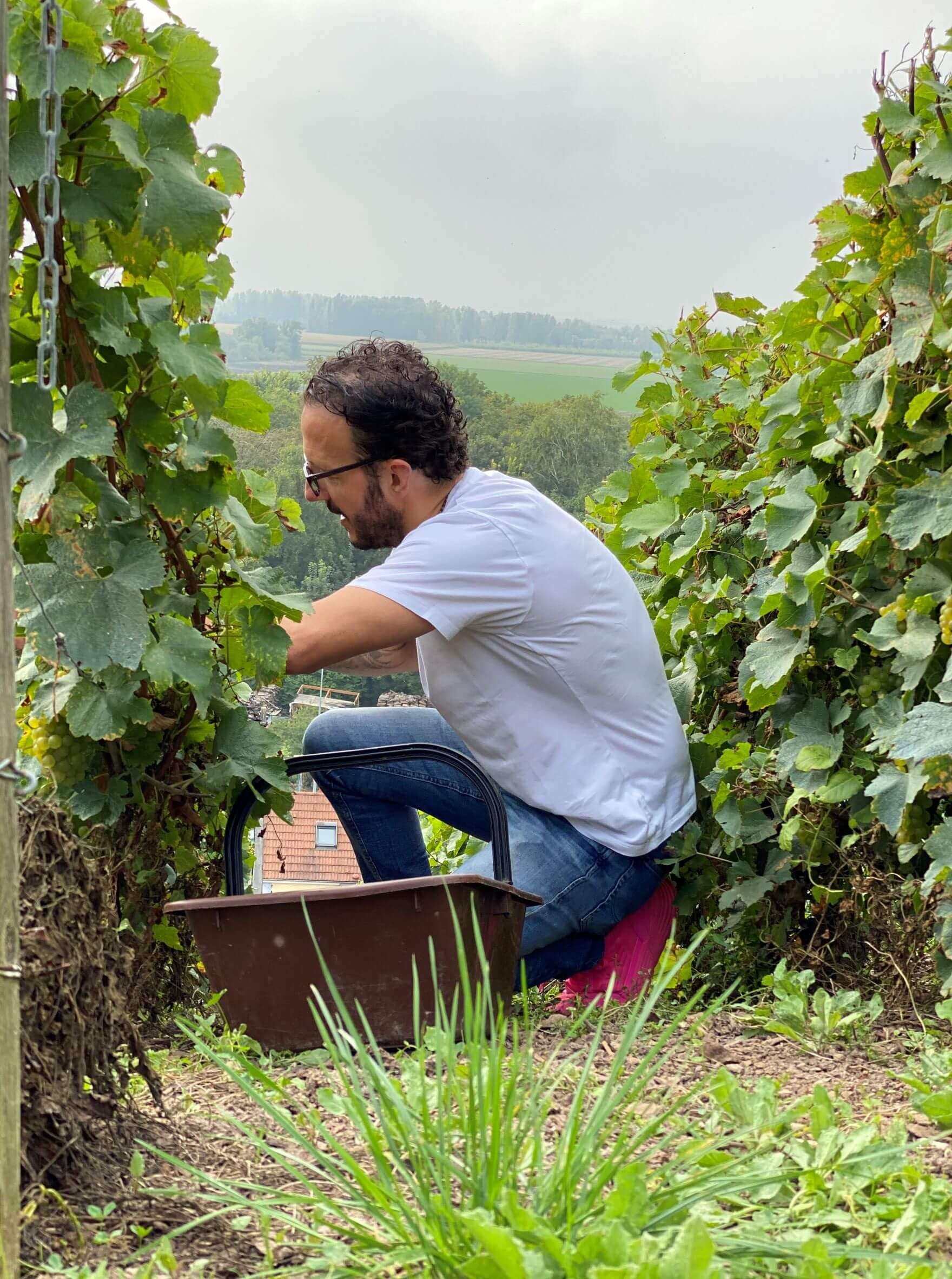 Bomba Atomica - Champagne Philipponnat