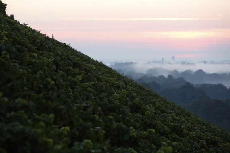 « À 45 Degrés » - Champagne Philipponnat