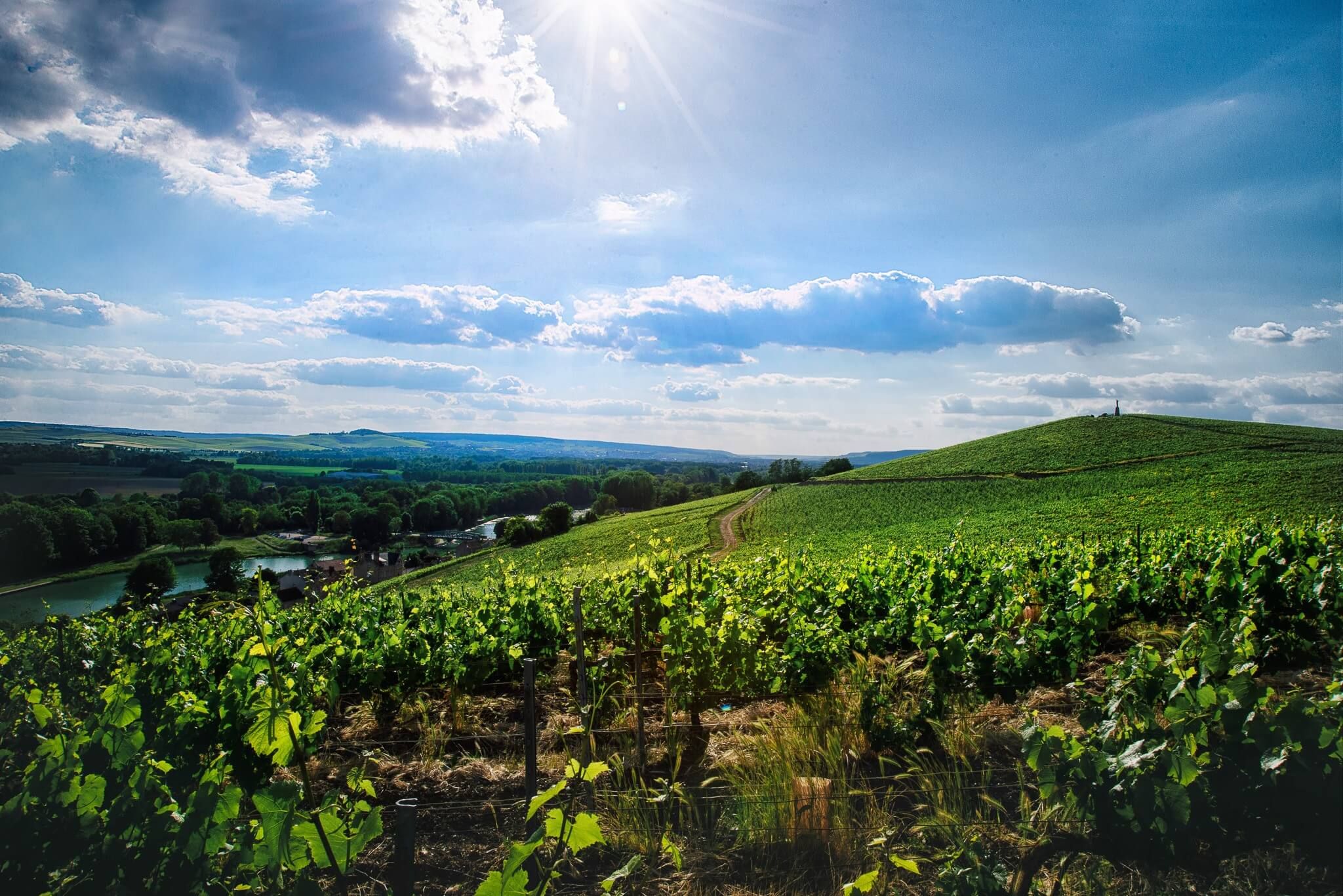 Clos des Goisses - Champagne Philipponnat