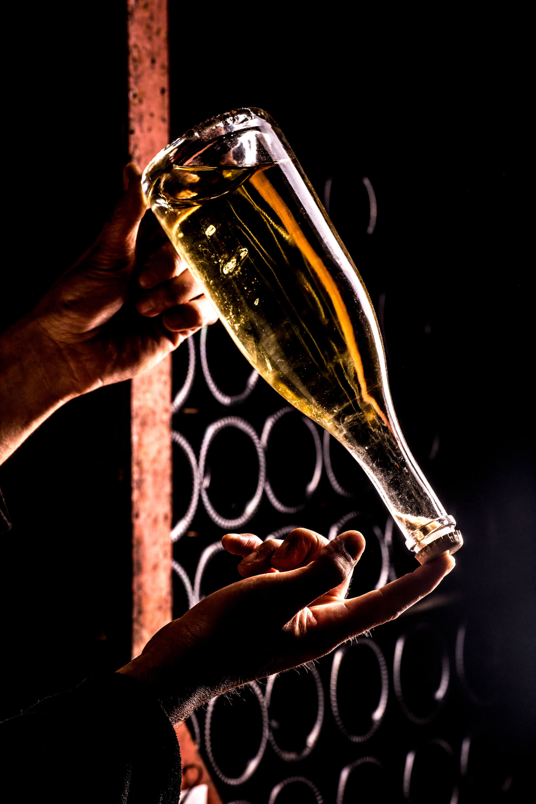 Nos expériences - Champagne Philipponnat